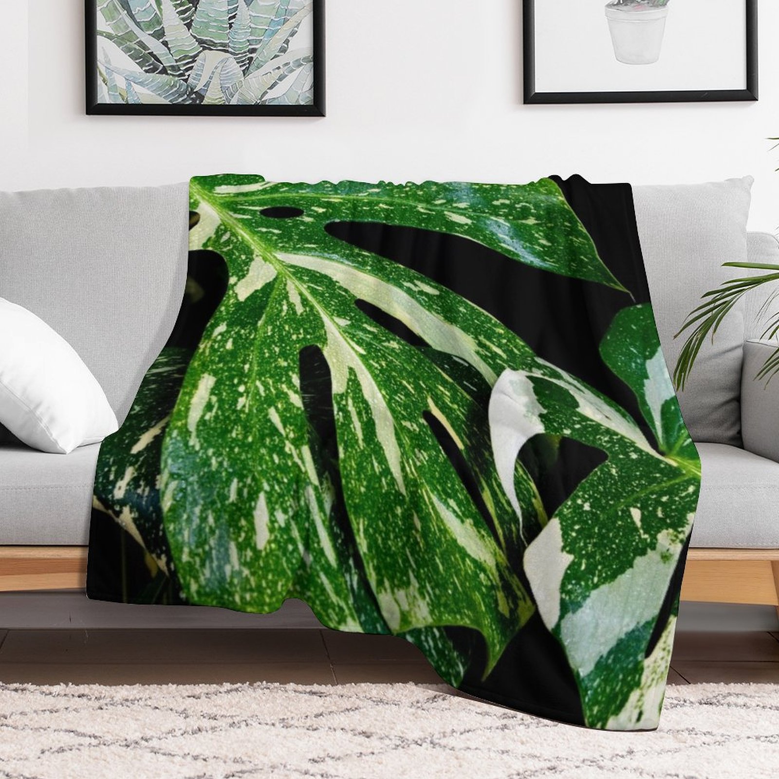 モンステラ タイ コンステレーション スローブランケット ソ - Monstera Thai Constellation のレビューと価格