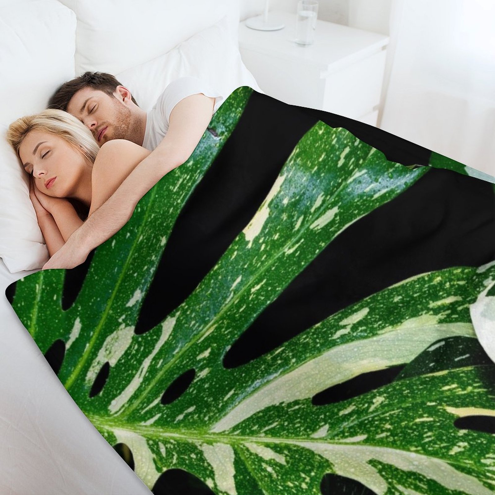 モンステラ タイ コンステレーション スローブランケット ソ - Monstera Thai Constellation のレビューと価格